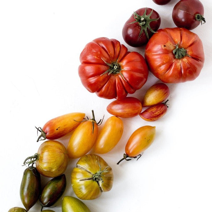 How to recognise the real San Marzano Tomatoes - Feast Italy