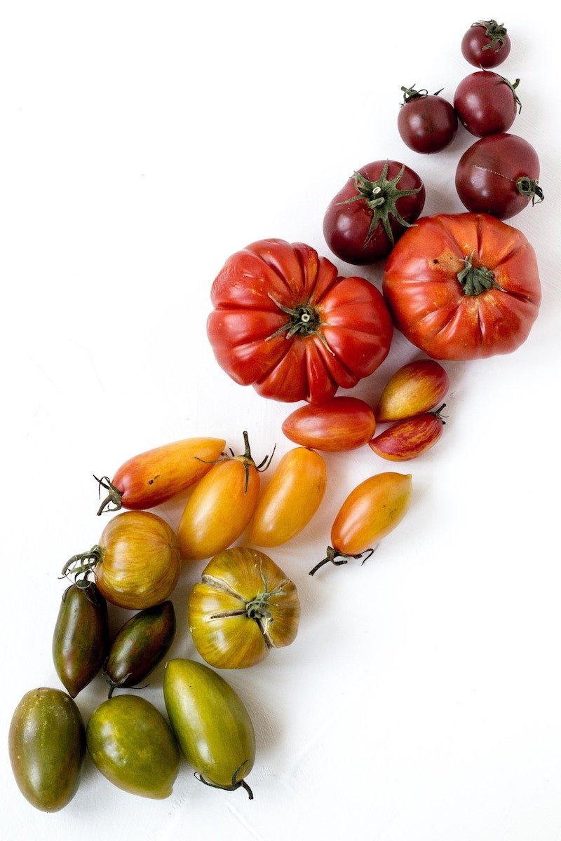 How to recognise the real San Marzano Tomatoes - Feast Italy