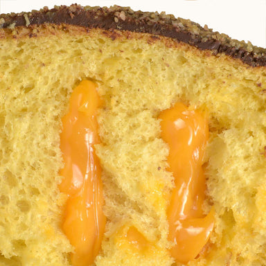Flamigni Spritz Panettone in Tin - 350g Feast Italy