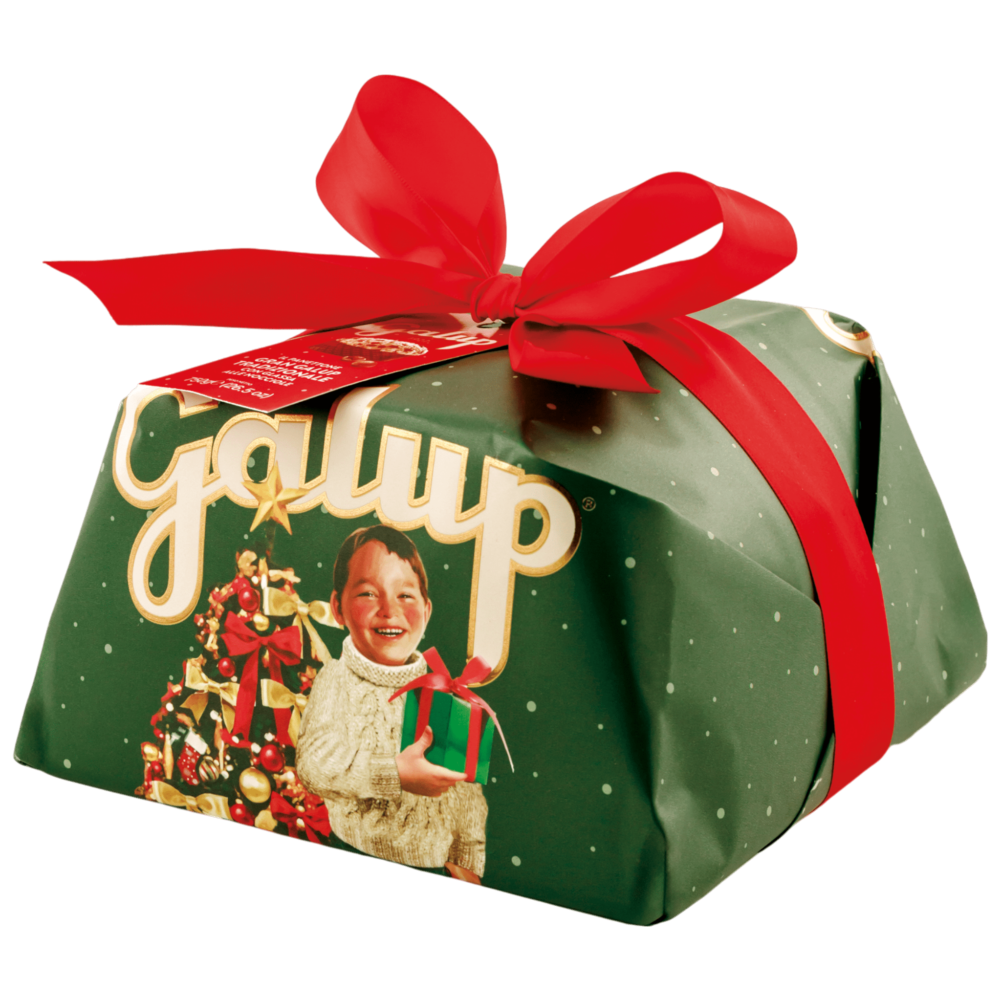 Galup Classic Panettone with Candied Citrus and Raisins 750g Feast Italy