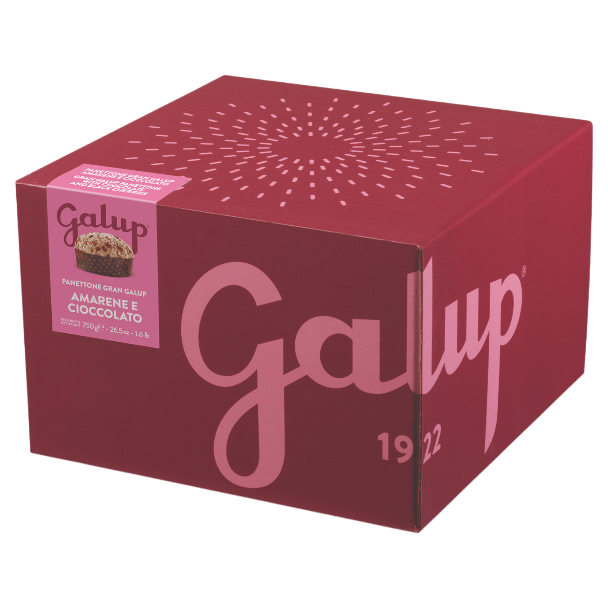 Galup Panettone with Amarena Cherries and Chocolate 750g - DAMAGED BOX Feast Italy