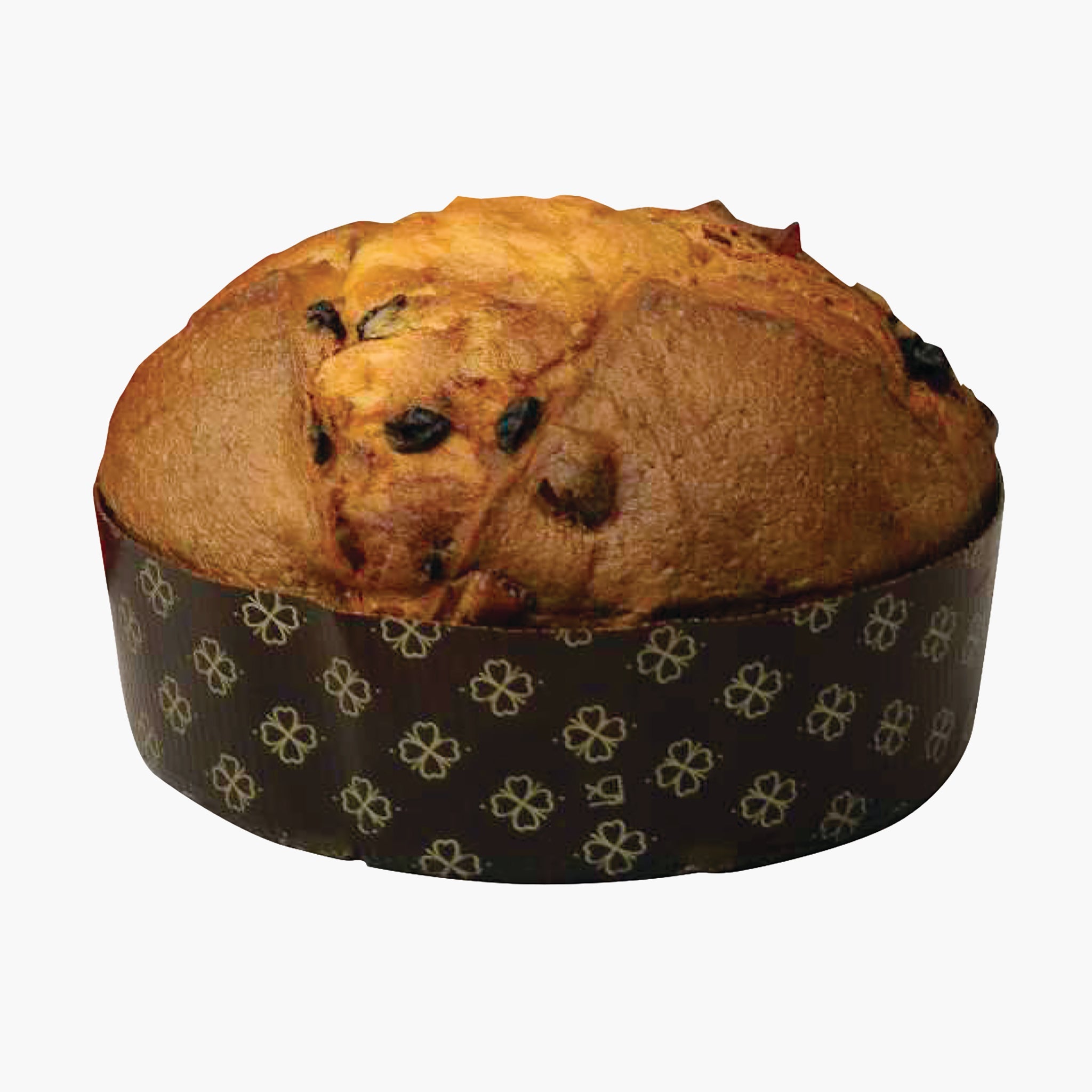 Olivieri 1882 Classic Panettone 500g Feast Italy