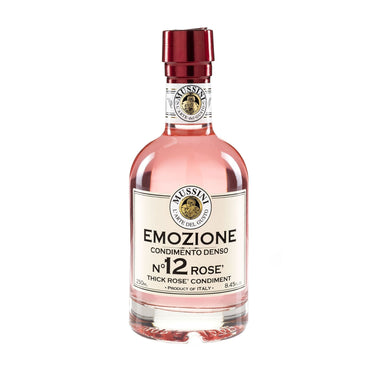 Mussini Rosé Wine Vinegar Condiment 250ml Feast Italy